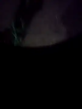 mkallu1995 online show from 18, 2, 2026