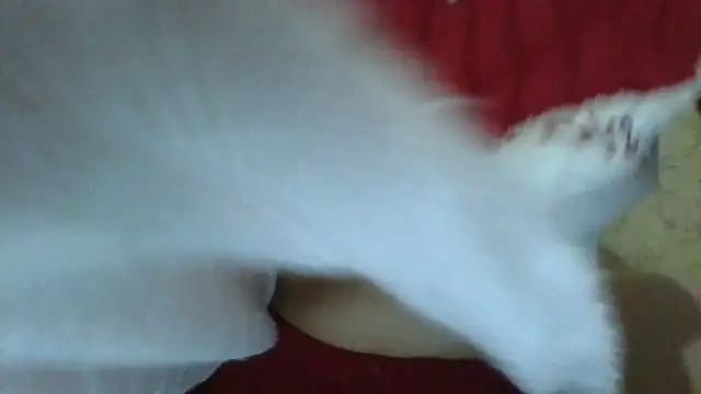 sweetriki online show from 29, 7, 2026