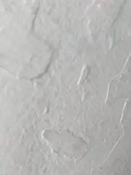 Snapshot of yaraa49 chatting on 23, 10, 2025 yaraa49 online show from 23, 10, 2025