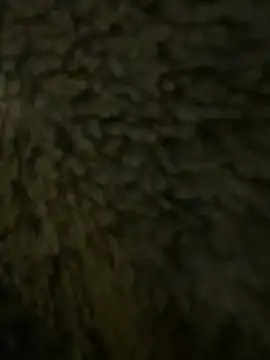 anonimgirl18old online show from 21, 2, 2026