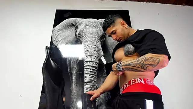 king falconer online show from 31, 10, 2025