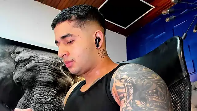 king falconer online show from 29, 11, 2025