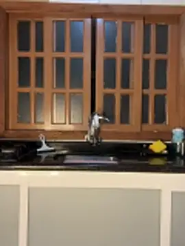 Casalmasc online show from 15, 4, 2026