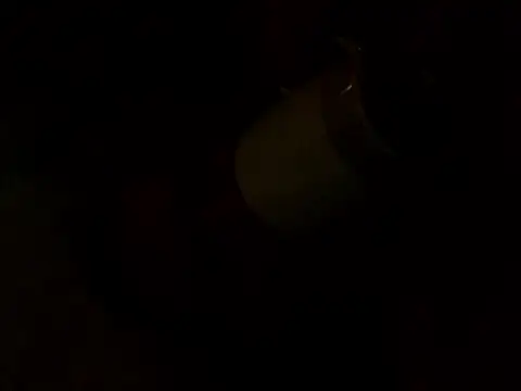 PointXXL online show from 16, 12, 2025