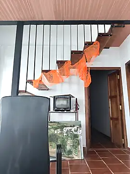 Hiroshi Shen online show from 2, 11, 2025