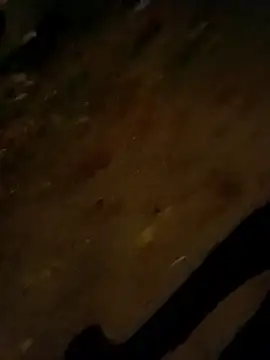 Snapshot of jvdzj-0_ chatting on 28, 10, 2025 jvdzj-0 online show from 28, 10, 2025