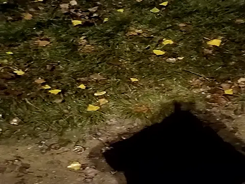 Snapshot of jvdzj-0_ chatting on 29, 10, 2025 jvdzj-0 online show from 29, 10, 2025