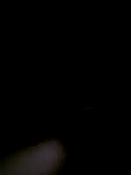 stella1980 online show from 6, 4, 2026