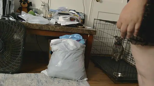 Babygrldes online show from 24, 4, 2026