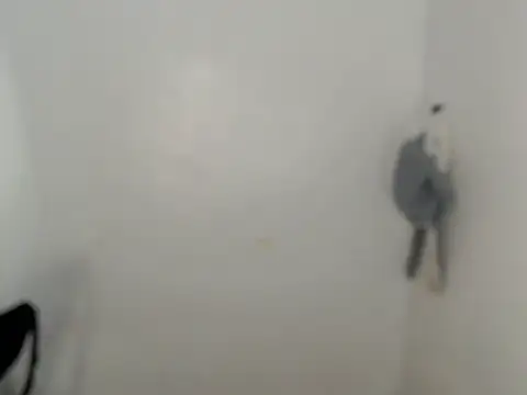 ynotyu online show from 29, 3, 2026