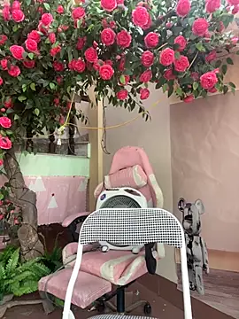 Bollozzy 89 online show from 4, 10, 2025