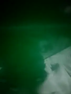 daisylouis online show from 3, 4, 2026