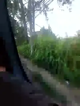 Snapshot of jeff_pepoer chatting on 7, 2, 2026 jeff pepoer online show from 7, 2, 2026