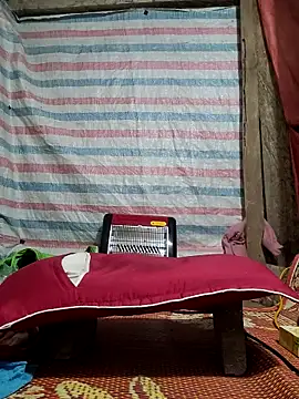 Many lize online show from 24, 2, 2026