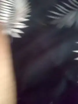 jocafe1995 online show from 4, 2, 2026