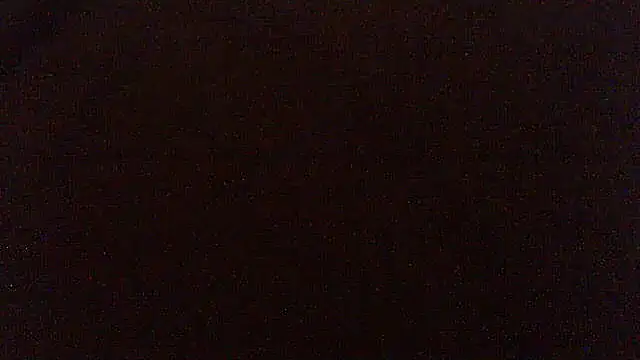 pietje1991 online show from 17, 4, 2026