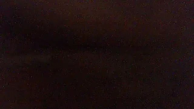 pietje1991 online show from 29, 5, 2026