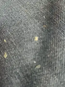 Narckse online show from 15, 9, 2025