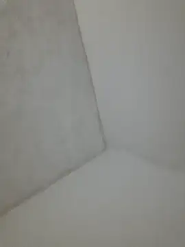 velozte5678 online show from 25, 3, 2026