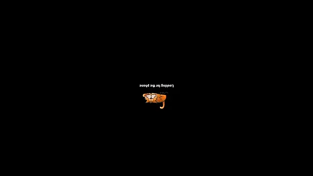 Snapshot of pecsblack888 chatting on 2, 10, 2025 pecsblack888 online show from 2, 10, 2025