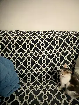 Sweet lollipop25 online show from 11, 1, 2026