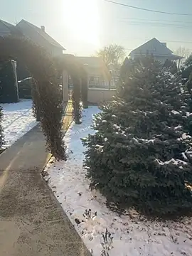 Michel huge online show from 18, 1, 2026