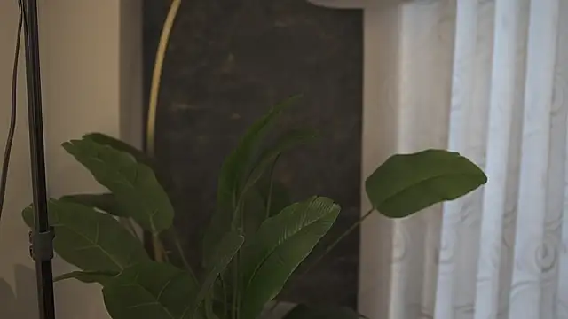 Ariaa Isabell online show from 11, 9, 2025