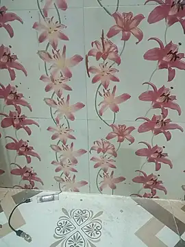 Snapshot of Meenaksi-singh chatting on 1, 10, 2025 Meenaksi-singh online show from 1, 10, 2025