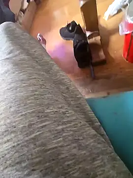 Fonse1860 online show from 19, 10, 2025