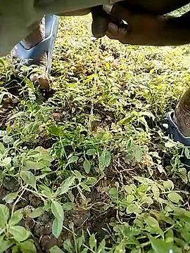 Snapshot of BlackhorseBBC chatting on 14, 10, 2025 BlackhorseBBC online show from 14, 10, 2025