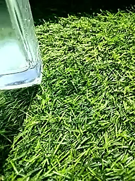 Snapshot of BlackhorseBBC chatting on 18, 2, 2026 BlackhorseBBC online show from 18, 2, 2026