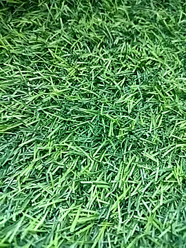 Snapshot of BlackhorseBBC chatting on 14, 3, 2026 BlackhorseBBC online show from 14, 3, 2026