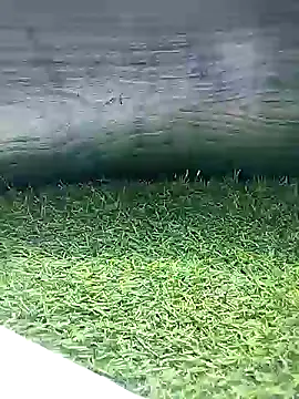 Snapshot of BlackhorseBBC chatting on 26, 3, 2026 BlackhorseBBC online show from 26, 3, 2026