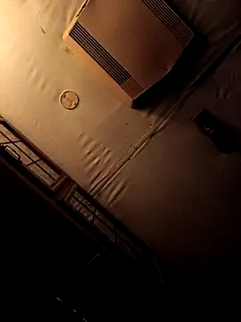 ShawnandDani7074 online show from 4, 2, 2026