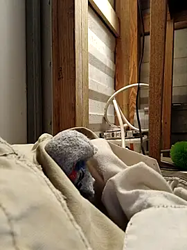 ShawnandDani7074 online show from 17, 2, 2026