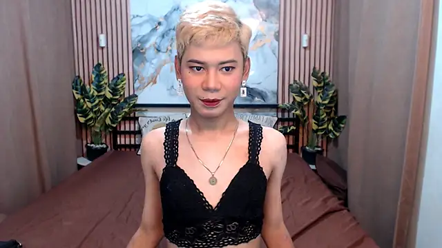 MissTransStella69 online show from 5, 8, 2026