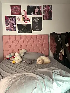  maki   online show from 20, 12, 2025