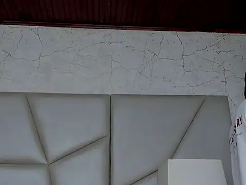 Snapshot of stefan-dax chatting on 13, 11, 2025 stefan-dax online show from 13, 11, 2025