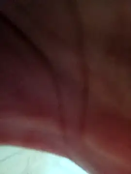 tdtd98 online show from 24, 3, 2026