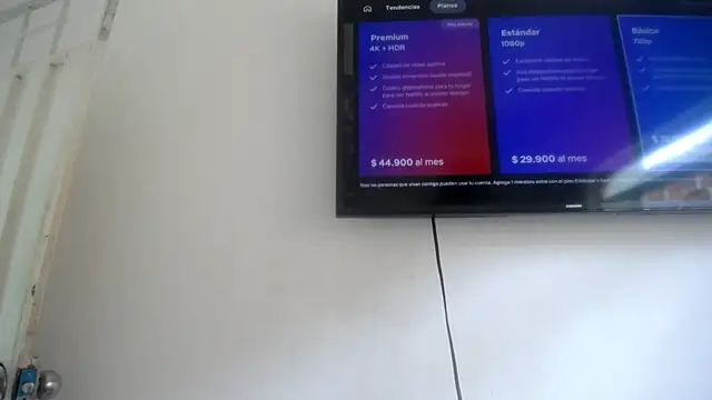 Foxy Lovex online show from 4, 4, 2026