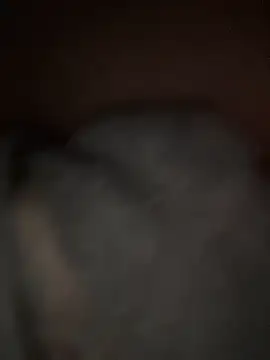 sunset24 online show from 29, 3, 2026