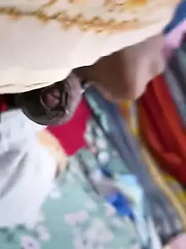 twpatil online show from 13, 1, 2026