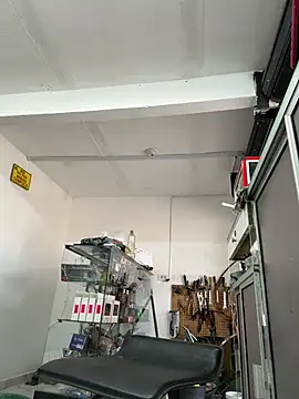 Terra-22cm online show from 8, 4, 2026