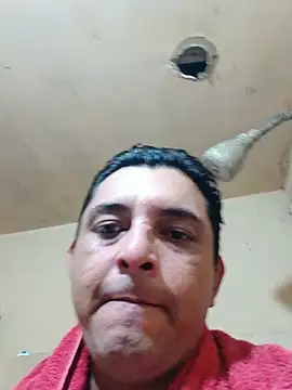 125Delfin90 online show from 25, 6, 2026