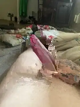 lsksokswjwjbshsjshs online show from 14, 3, 2026