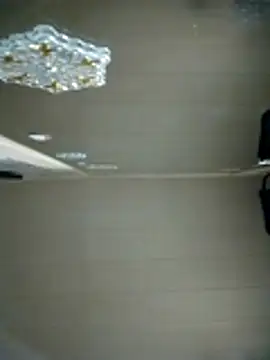 N i k o l a u online show from 8, 4, 2026