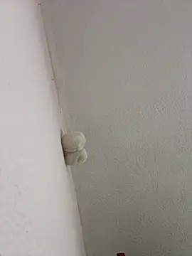 saranghae  online show from 2, 3, 2026