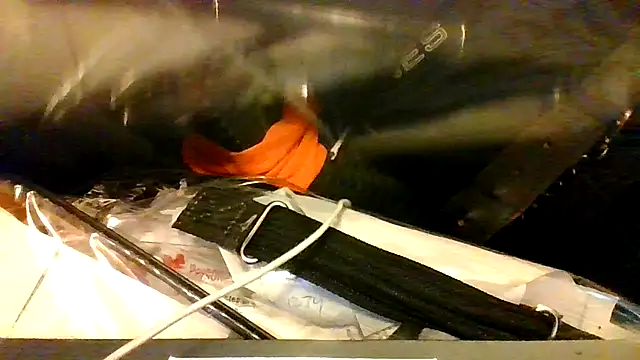 BBCGottii online show from 17, 3, 2026