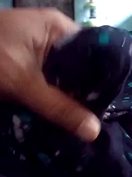 mdshovohossen online show from 8, 3, 2026