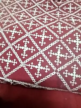 Monika Telugu Girl online show from 13, 1, 2026